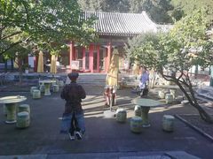 -宫事颐庭·老佛爷贵寿下午茶(颐和园店)