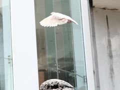 -广州人民艺术中心