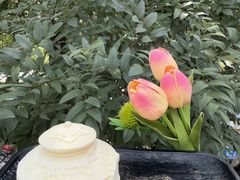 -快乐小羊(富强中路店)