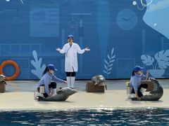 -秦皇岛乐岛海洋王国