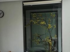 -见康道莱•足浴按摩•艾灸•SPA(友谊店)