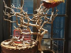-渔家灯火(明湖店)