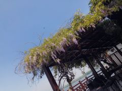 -望海·帆船主题咖啡厅•品茗下午茶(石湖景区店)