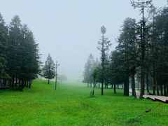 -余家庄肥肠鱼地方汤锅(银杏大道店)