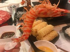 -鲜入围煮花胶鸡海鲜火锅