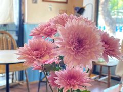 -251#coffee roasters(沿河东路店)