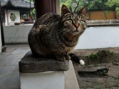 -西园戒幢律寺