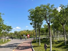 -天津东丽湖风景区