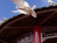 -东莞观音山旅游风景区