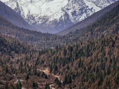 -亚拉雪山风景区