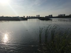 -哈尔滨大剧院
