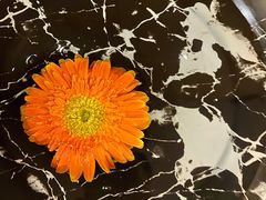 -北京云瑧金陵莲花酒店·莲·川小馆