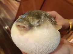 -永安鱼庄·镇江菜(丁卯店)