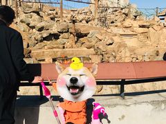 -石家庄市动物园