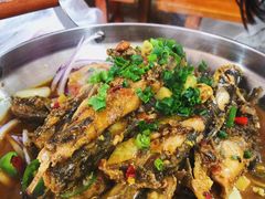 -龙小海荆沙鸽子店(瑞安街店)