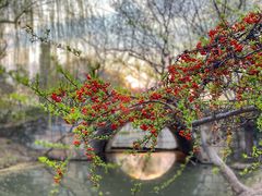 -广富林郊野公园