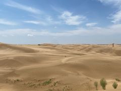 -恩格贝生态旅游区