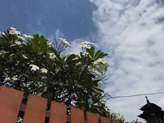 -宁曼路