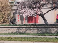 -元大都城垣遗址公园