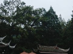 -青城山