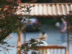 -广州市帽峰山景区