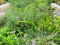 -翠贝卡&Mama Kelly Brunch Coffee(河西店)