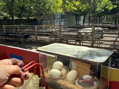 -水上乐园·欢乐世界