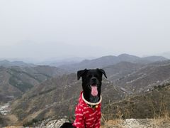 -蟠龙山长城景区