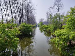 -合肥滨湖国家森林公园