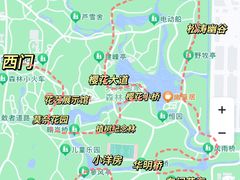 -上海共青森林公园