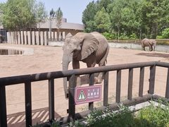 -鄂尔多斯野生动物园