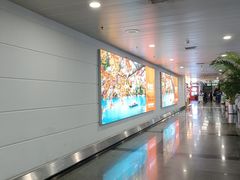 -厦门高崎国际机场-T3航站楼