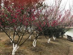 -白塘生态植物园