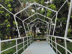 -天下先生态园农庄CS团建露营地(海鸥岛店)