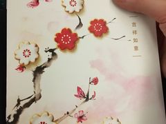 -新加坡航空公司(ION)