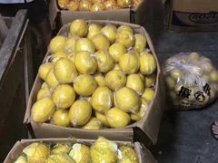 -双福水果批发市场
