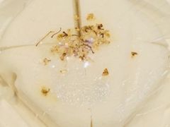 -李犟大爆鳝面·手工蟹黄包(湖滨西湖店)