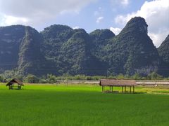 -明仕田园