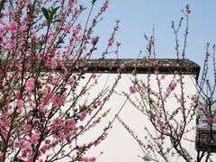 -乌山风景区