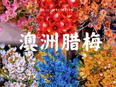 -循礼门鲜花花市(武汉循礼门店)