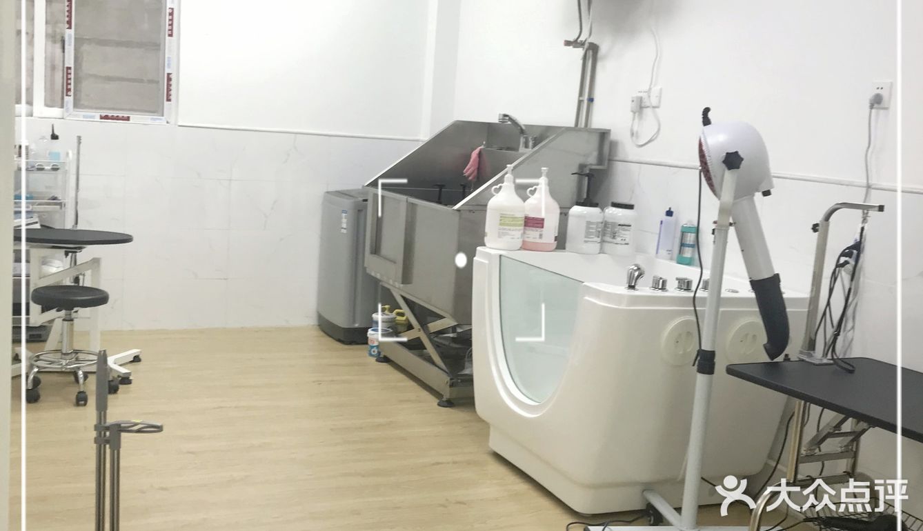 崽崽菲尔顿宠物药店洗澡记[加油]