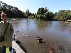 -墨尔本皇家植物园