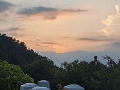 -深圳仙湖植物园