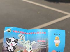 -都江堰中华大熊猫苑