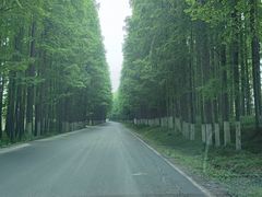 -南汇嘴观海公园