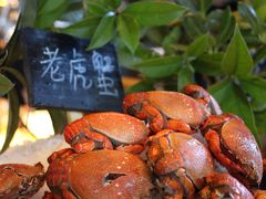 老虎蟹-贵阳恒世纪酒店·味自助餐厅