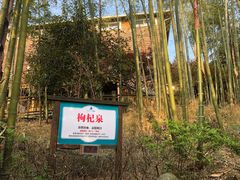 -江南天池高山汤泉城