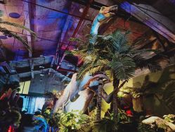 -恐龙探索乐园(磁器口店)