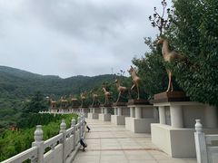 -石岛赤山风景区