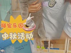 -猫宠乐园·专业洗护